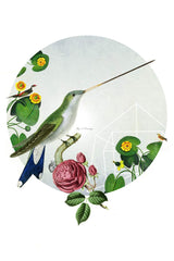 Hummingbird Tshirt - xsm, med